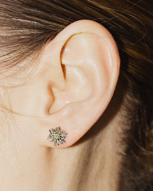 Edelweiss gold earrings (size S)